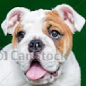 Meet your Posher, Doris